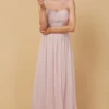 Little Mistress Grace Blush Embellishment Sweetheart Maxi Dress